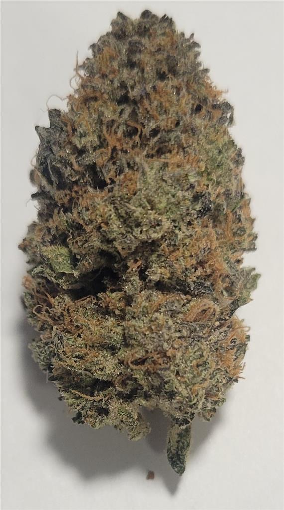 Gelato Cake THC 20%