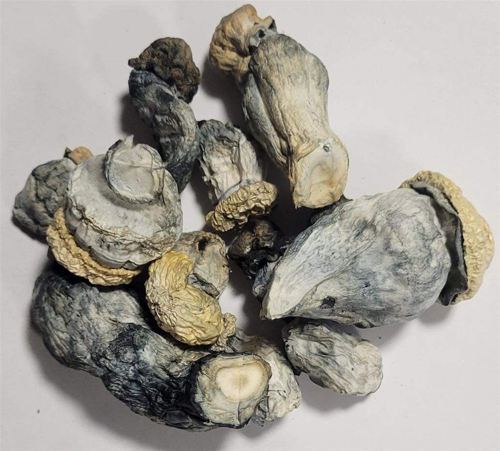 Albino Emerald Gates