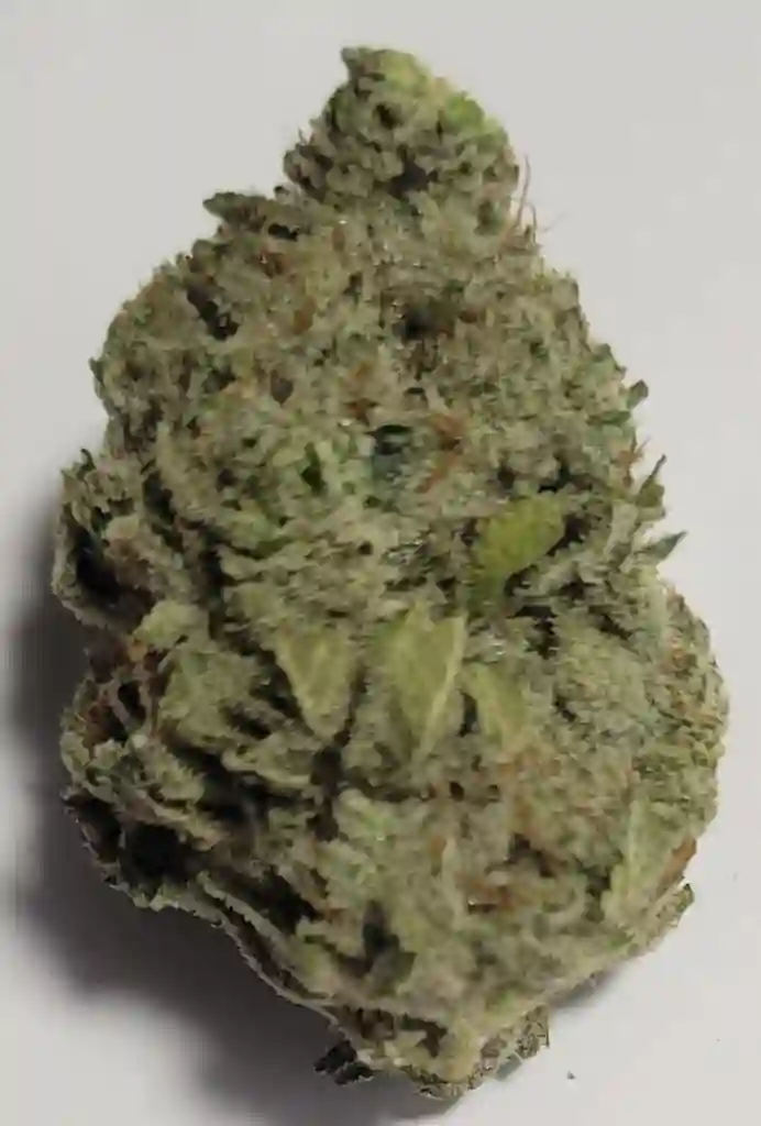Gorilla Glue #5