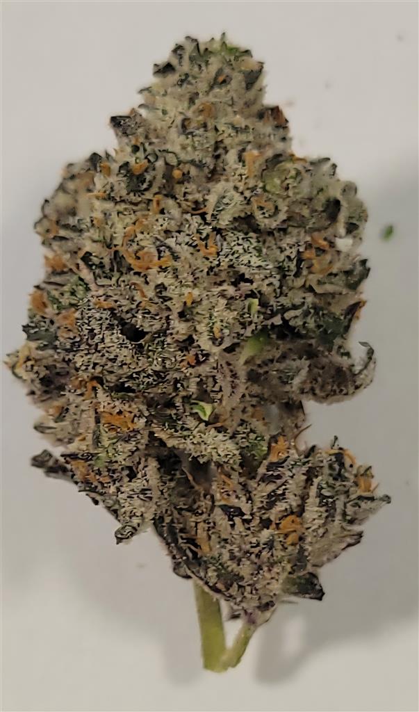 Head Juice