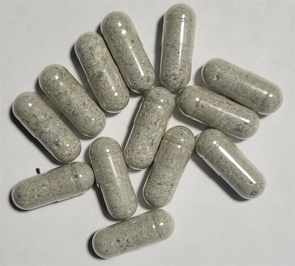 True Albino Teacher (TAT) Mushroom Pills